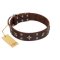 "Stars in Sands" Modern FDT Artisan Brown Leather Doberman Collar with Studs and Stars