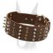 Exclusive design wide leather collar with studs and spikes for Doberman