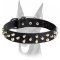 Luxury studded leather collar with silver pyramids for Doberman