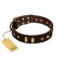 "Blinking Illusion" FDT Artisan Brown Leather Doberman Collar with Old Bronze-like Studs and Plates