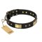 C291#1073 Leather Doberman Collar with Old Look Decorations