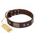 "Stone Stars" Stylish Handmade FDT Artisan Brown Leather Doberman Collar