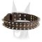 Perfect looking leather collar with 2 rows of spikes and 1 row brass studs