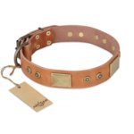 'The Middle Ages' FDT Artisan Handcrafted Tan Leather Doberman Dog Collar