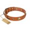 "Visual Magic" FDT Artisan Tan Leather Doberman Collar for Daily Activities