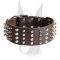 2 inches extra wide leather Doberman collar with symmetrical rows of spikes and cones
