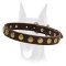Amazing leather collar with attractive brass circles