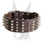2 inches extra wide leather Doberman collar with symmetrical rows of spikes and cones