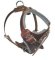 Medium dog Harness for Doberman -Leather Harness