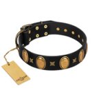 "Doggie Woggie" Designer Handmade FDT Artisan Black Leather Doberman Collar with Ovals and Studs