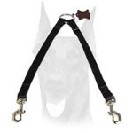 Nylon 2-Way Couplers Leash for 2 Dobermans