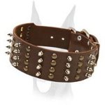 Exclusive design wide leather collar with studs and spikes for Doberman