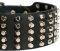 Pyramid Studs on Leather Dog Collar for Doberman