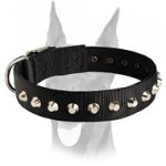 Outstanding nylon collar with silver-like studs for Doberman