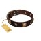 "Choco Dreams" FDT Artisan Brown Leather Doberman Collar with Squares and Stars