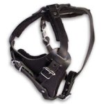 DOBERMAN Control Dog Harness - H1