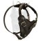 Padded Chest Plate Dog Harness for Doberman