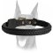 Gorgeous Looking Decorated Leather Doberman Collar