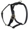 Similar Lupine adjustable dog harness for Doberman