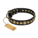 'Gold Mine' FDT Artisan Doberman Black Leather Dog Collar with Amazing Bronze-Plated Round Studs