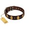 "Crystal Mirror" FDT Artisan Handmade Brown Leather Doberman Collar - 1 1/2 inch (40 mm) Wide