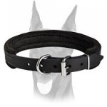 Best training leather felt padded collar only 1 inch (25 mm) wide