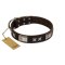"Satin Beauts" FDT Artisan Brown Leather Doberman Collar with Stars and Plates