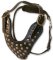 Two-Ply Latigo Dog Harness with Studs for Doberman