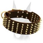 Leather decorated collar with 5 rows of brass spikes for Doberman