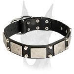 Vintage Doberman collar studded with nickel decoration