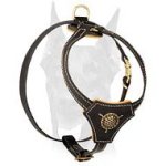 Incredibly attractive walking leather harness for Doberman
