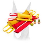 Ultimate Doberman Training Set With 3 Amazing Gifts