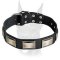 Gorgeous handcrafted leather collar with vintage nickel plates for Doberman