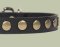 Studded Leather Puppy Collar for Doberman puppy