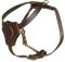 Dog Harness for small dogs/for Doberman puppy