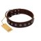 "Boundless Energy" Premium Quality FDT Artisan Brown Designer Leather Doberman Collar with Small Pyramids