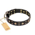 "A La Mode" FDT Artisan Premium Quality Black Leather Doberman Collar