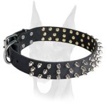 Black Leather Spiked dog Collar for Doberman