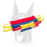 French Linen Doberman training set