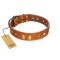 "Woofy Dawn" FDT Artisan Tan Leather Doberman Collar with Plates and Rhombs