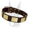 Handcrafted Leather Dog Collar With Vintage Massive Plates