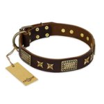 "Sparkling Bronze" FDT Artisan Brown Leather Doberman Collar with Gold-like Adornments