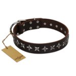 "Stars of Glory" FDT Artisan Brown Leather Doberman Collar for Comfortable Walking