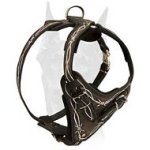 Exclusive "Barbed Wire" leather Doberman harness