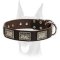 Gorgeous looking leather Doberman collar for stylish walks