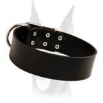 Best training and walking leather collar for Doberman