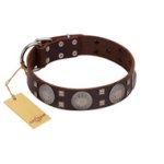 "Sun in Barchans" Modern FDT Artisan Brown Leather Doberman Collar with Engraved Stars on Round Plates and Studs