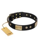 "Antique Gloss" FDT Artisan Black Leather Doberman Collar with Bronze-like Plates and Small Studs