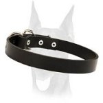 Stylish leather Doberman collar 1 inch wide