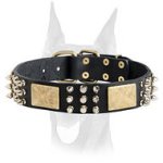 Doberman leather collar with massive brass plates, nickel pyramids and spikes